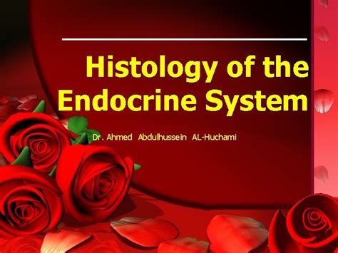 Histology Of The Endocrine System Dr Ahmed Abdulhussein