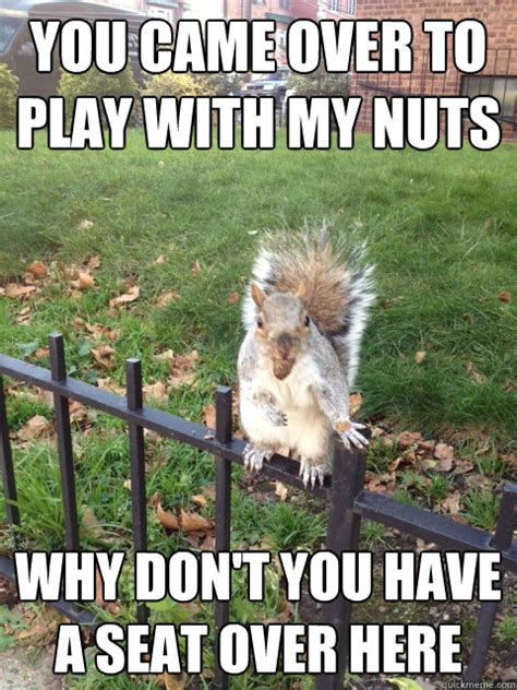Squirrel With His Nuts Memes Quickmeme