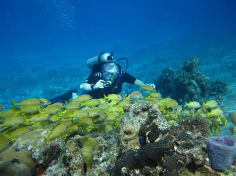 Cozumel Coral Reef Private Scuba Diving June 2019 All You Need To