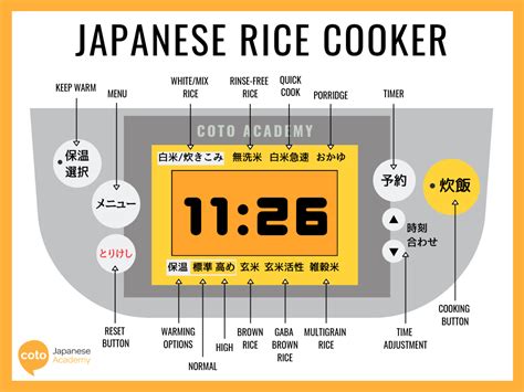 Falsehood Bone Toxicity Japanese Rice Cooker Ratio Police Station