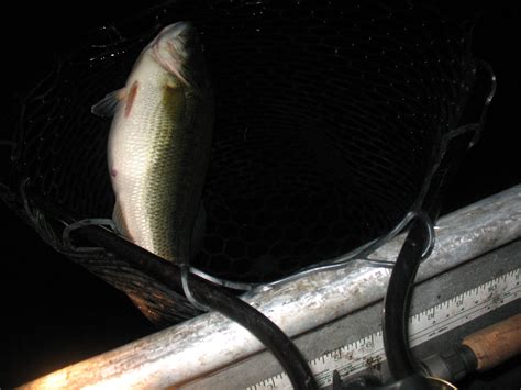 Bass Fishing At Night The Hunt For Giant Night Bass Fishing Tips