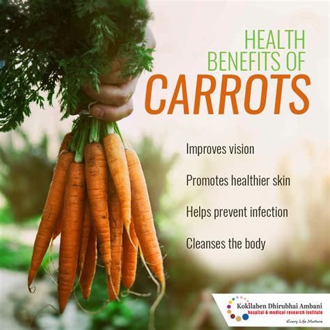 Health Benefits Of Carrots Health Tips From Kokilaben Hospital