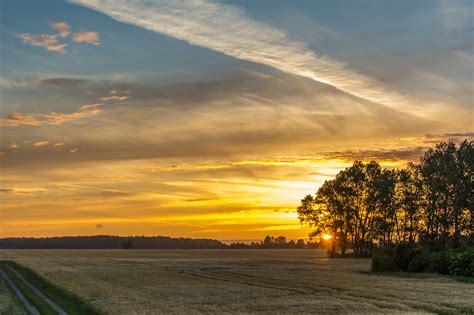 無料画像 風景 木 自然 地平線 雲 空 日の出 日没 フィールド 草原 太陽光 朝 夜明け 夕暮れ