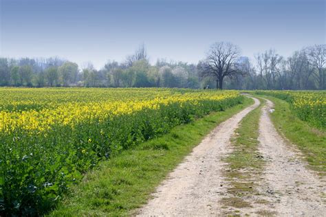 Farm Track Free Photo Download Freeimages