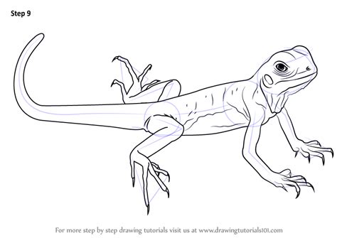 How to draw a pencil sketch. Learn How to Draw a Green Lizard (Lizards) Step by Step ...