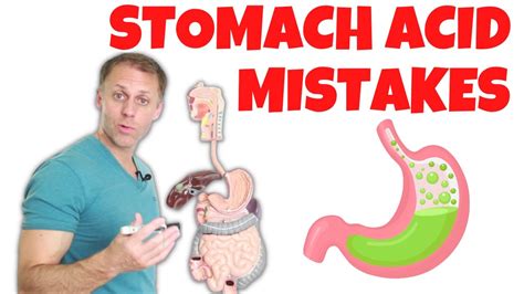 Why We Need Stomach Acid Youtube