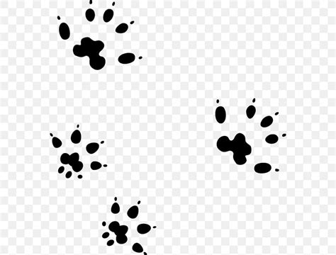 Mouse Footprint