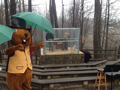 West Virginias French Creek Freddie Predicts Early Spring On Groundhog