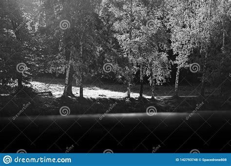 Black And White River Bank Landscape Background Stock