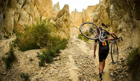 Sheppard software's life cycle game: Sheppard Cycles - Australasia's leading bicycle ...