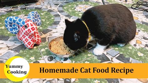 Homemade Cat Food Diy Cat Food Recipe Yoo Mi Cooking Youtube