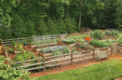 This is a wide group of veggies including mustard greens, collard greens, and turnip greens. joe gardener® | Organic Gardening Like a Pro