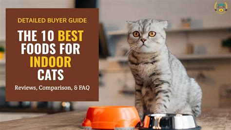 The 10 Best Cat Food For Indoor Cats 2023 Reviews
