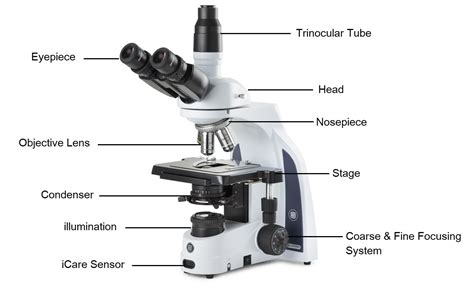 Kenali Bagian Bagian Pada Mikroskop Dan Fungsinya