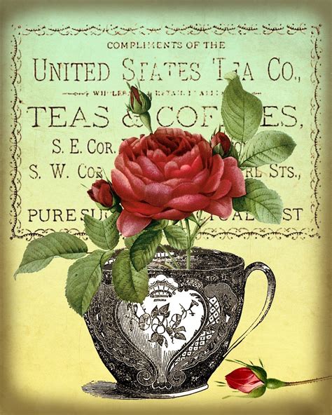 Antique Tea Cups And Roses Digital Collage Sheet By Gallerycat Posters