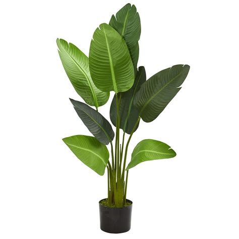 In its native habitat, the cascade palm thrives along streams and in wet lowlands, so you must irrigate it frequently when growing it indoors. Nearly Natural Indoor 4 ft. Travelers Palm Artificial Tree ...