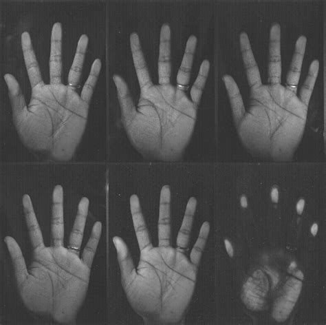Raw Multispectral Whole Hand Images The Three Images In The Top Row As