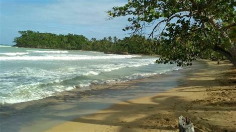 Playa Bonita Las Terrenas 2020 Lo Que Se Debe Saber Antes De Viajar Tripadvisor