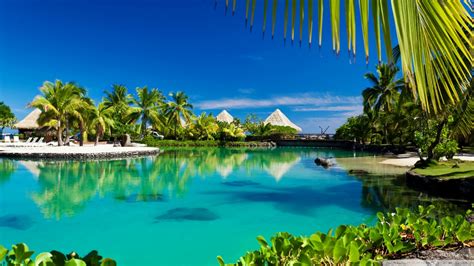 Tropical Island Swimming Pool Resort Ultra Hd Desktop Background