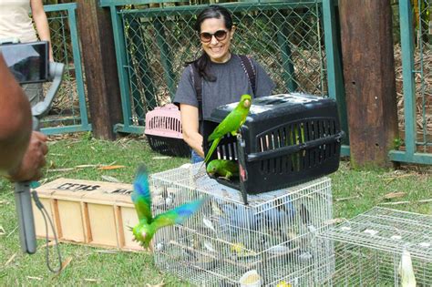 Cetas de Barueri devolve aves à natureza em São Roque