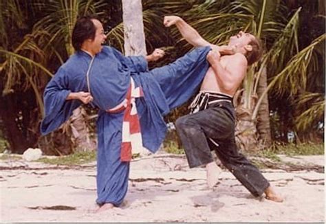 Origine Du Viet Vo Dao Art Martial Vietnamien