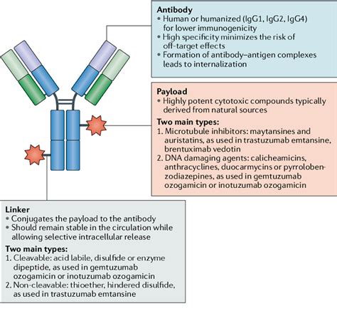 9 Types Of Drug Conjugates Overview Biopharma Peg
