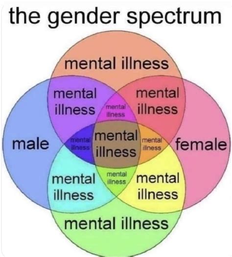 The Gender Spectrum Meme By Lololoolloll Memedroid