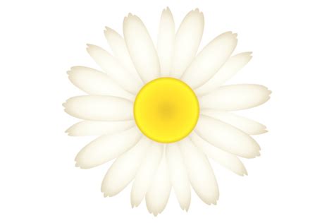 Daisy Flower Chamomile Blossom Beautif Graphic By Microvectorone