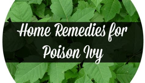 Natural Remedies For Poison Oak
