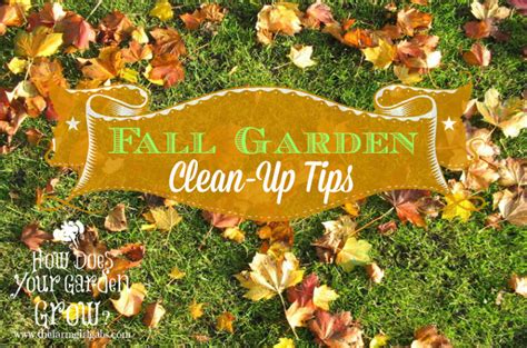 Fall Gardening Tips How To Get Your Gardens Ready For Winter Autumn