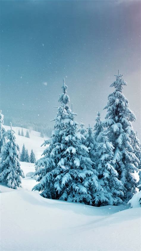 Wallpaper Forest Trees Snow Winter 5k Nature 17411