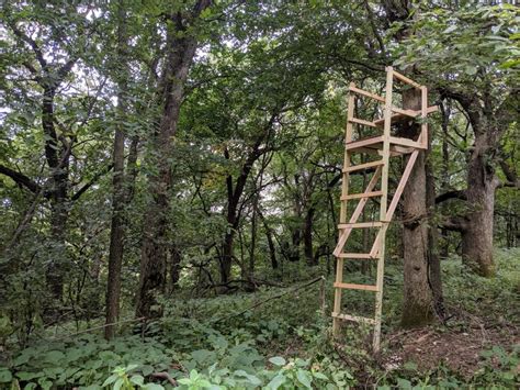 Diy Deer Hunter Build A Wooden Ladder Stand