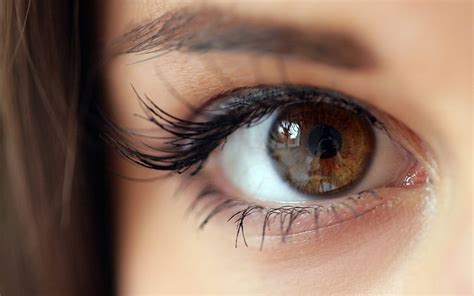 Kişinin Kahverengi Gözü Kadınlar Esmer Markéta Stroblová Gözler