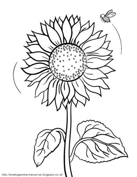 Gambar mewarnai bunga merupakan salah satu dari kategori bunga ,anda dapat mendownload dengan resolusi dan gambar yang bagus. Gambar Mewarnai Bunga Matahari Untuk Anak PAUD dan TK