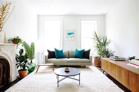 Bright Living Room With Lots Of Plants Interior Design