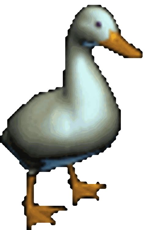 Make your heroine dance by pressing the keys on your keyboard in. Dancing Duck | GIF | Know Your Meme