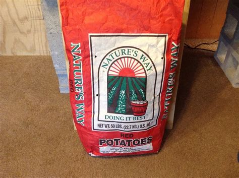 Maybe you would like to learn more about one of these? Grow your own potatoes in containers - Easily Grown Garden