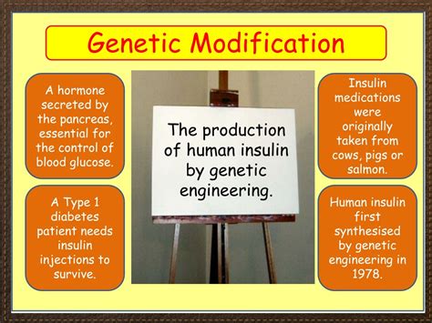 Ppt Igcse Biology Section 5 Lesson 2 Powerpoint Presentation Free