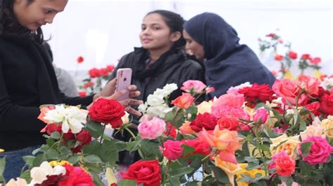 Rose Exhibition In Bhopal गुलाब उद्यान में सजी प्रदर्शनी छह सौ किस्मों