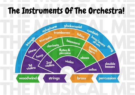 The Instruments Of The Orchestra Display Poster The Musical Me
