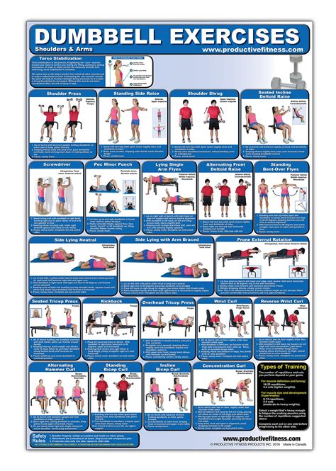 Buy Laminated Dumbbell Exercise Poster Chart Shoulders And Arms