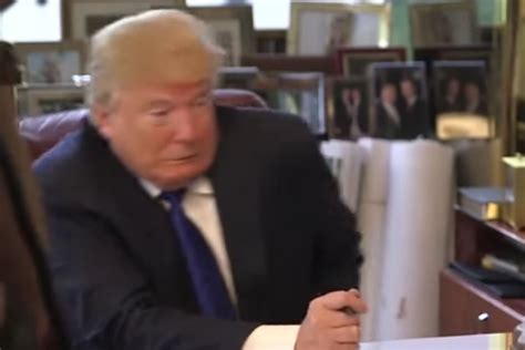 Donald Trump Says He Wasnt Afraid Of Bald Eagle Video