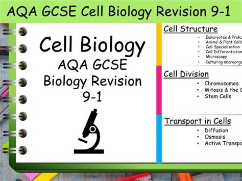 B1 Cell Biology Aqa Gcse Science Biology Revision 9 1 Teaching Resources