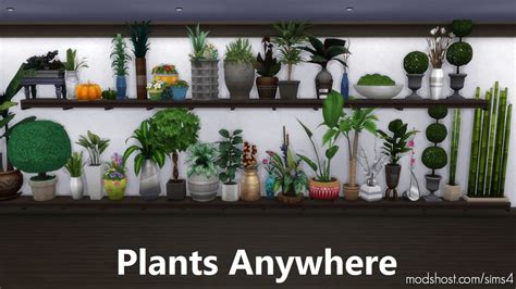 Clutter Anywhere Part Five Plants Sims 4 Mod Modshost