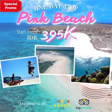 One Day Tour Lombok Timur Pink Beach
