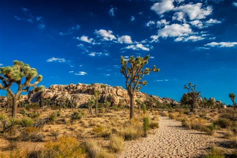 Top 13 Photo Spots At Joshua Tree National Park In 2022