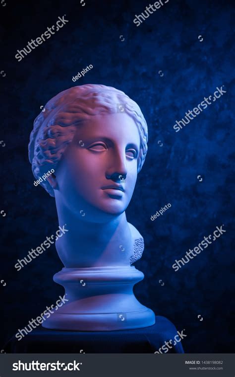 Gypsum Copy Ancient Statue Venus Head Stock Photo 1438198082 Shutterstock