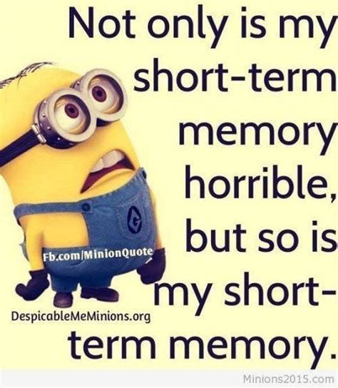 Image Result For Minions The Divorce Rate Among My Socks Is Astonishing