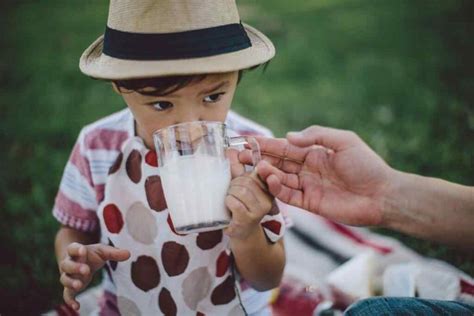 Is camel milk better than cow milk? Cow Milk vs Buffalo Milk vs Goat Milk: Which Is The Best Pick