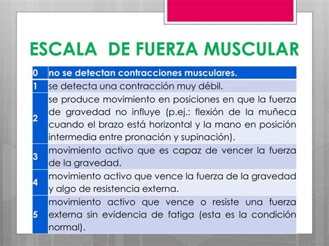 Escala De Força Muscular Oxford